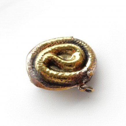 Photo of Brass Snake Serpent Vesta Match Safe