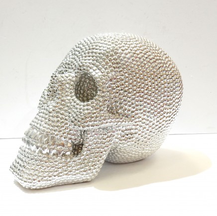 Photo of Silver Diamante Human Skull