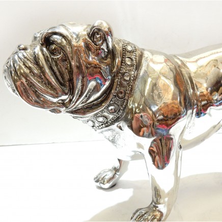 Photo of Silver Resin English Bulldog wearing Diamante Coller