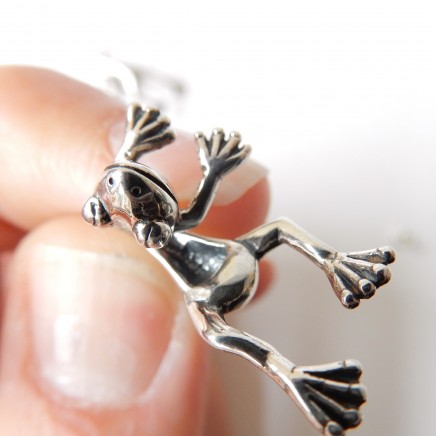 Photo of Solid Silver Novelty Frog Earrings