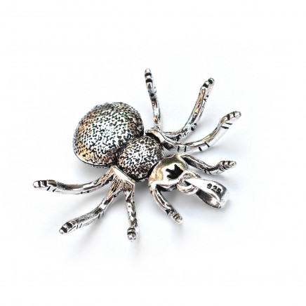 Photo of Sterling Silver Spider Pendant
