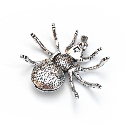 Photo of Sterling Silver Spider Pendant