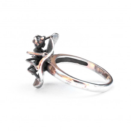 Photo of Sterling Silver Spider on Web Ring