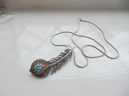 Photo of Art Nouveau Plique Du Jour Feather Necklace