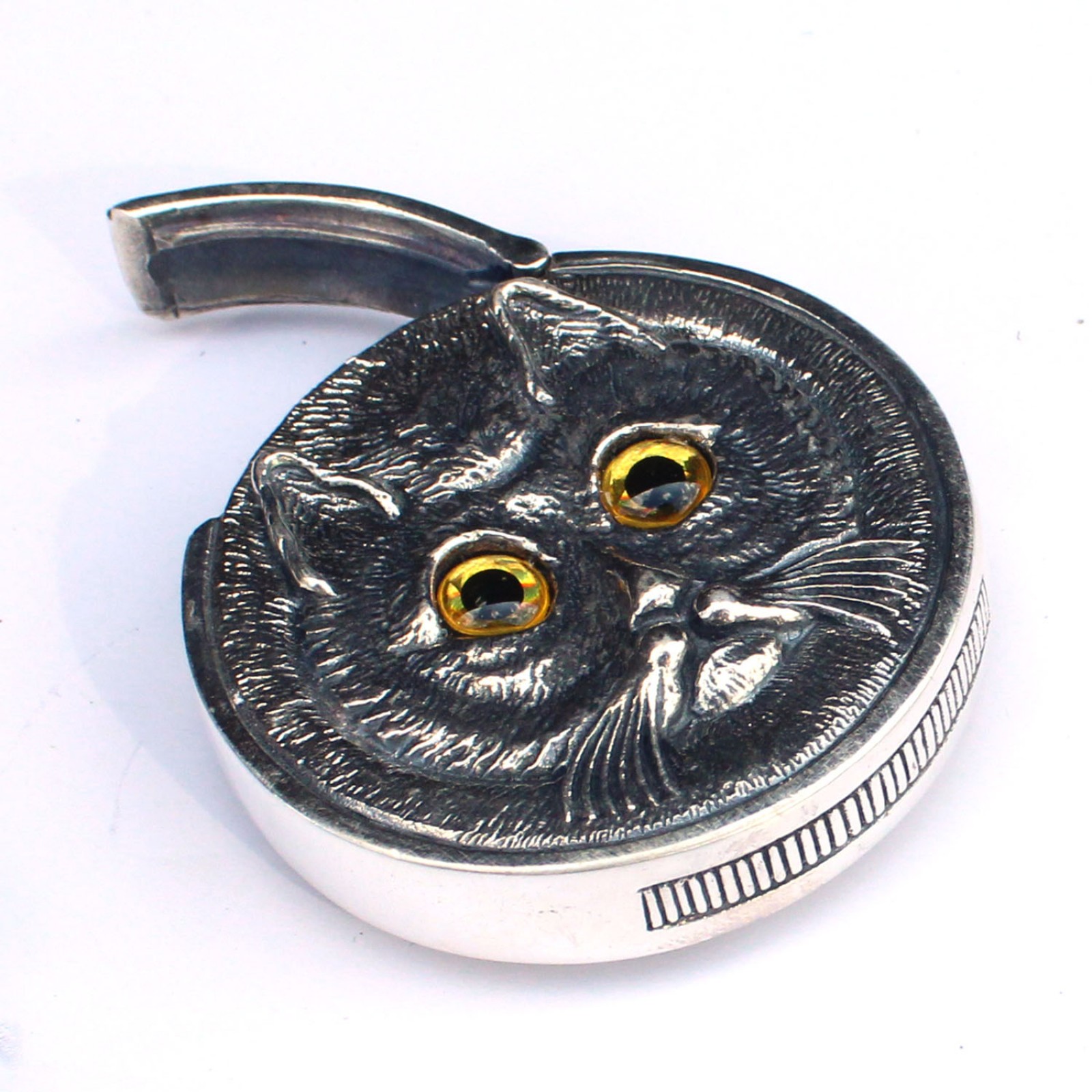 Photo of Sterling Silver Cat Vesta Match Safe Container Box