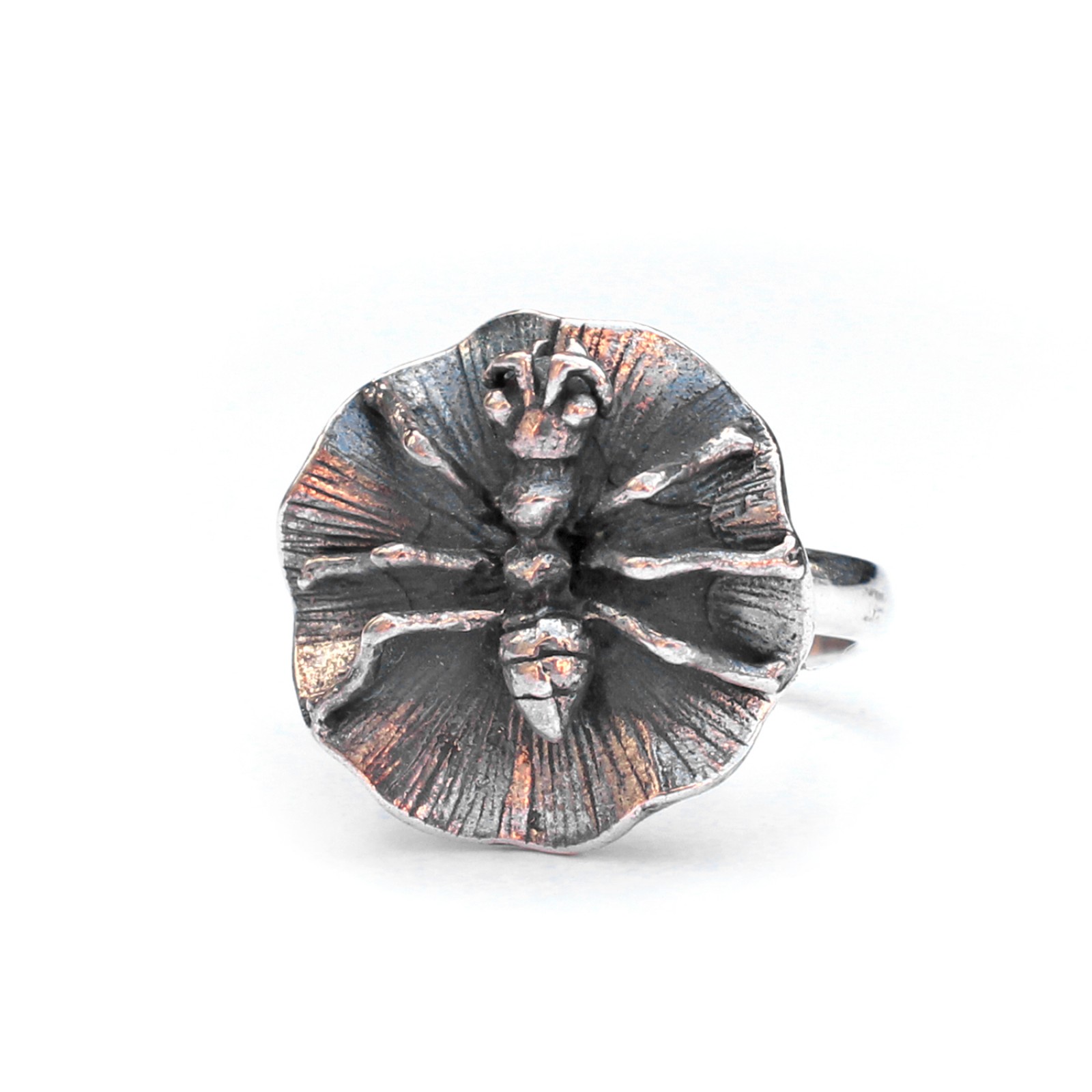 Photo of Sterling Silver Spider on Web Ring